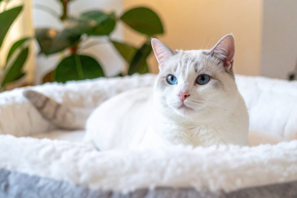 Maintaining Lifelong Wellness and Recognizing Early Warning Signs